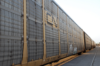Registra ferrocarril mayor caída en el movimiento de mercancías con Estados Unidos