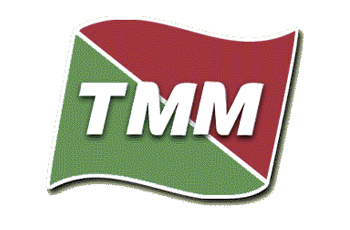 Registra Grupo TMM caída de 13.4% en sus ingresos en primer semestre de 2009