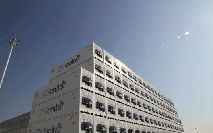 ZIM amplía flota de contenedores refrigerados; se alía con sector “pharma”