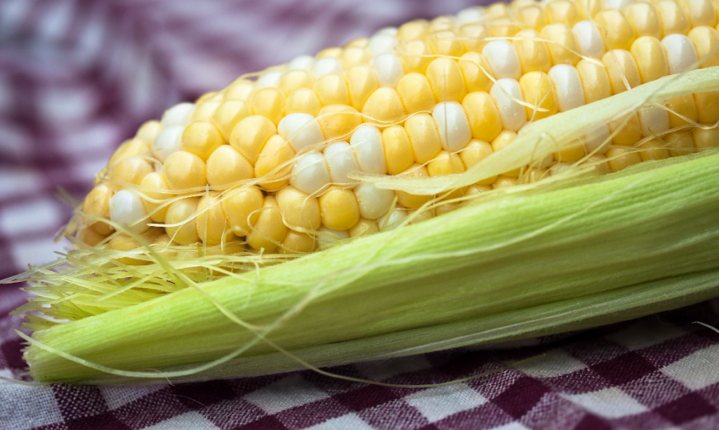 Estados Unidos manda a panel de T-MEC tema del maíz mexicano