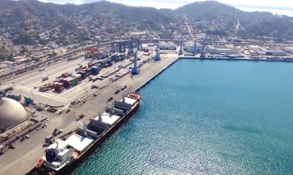 Hutchison Ports TIMSA y Conafor se unen para reforestar Manzanillo